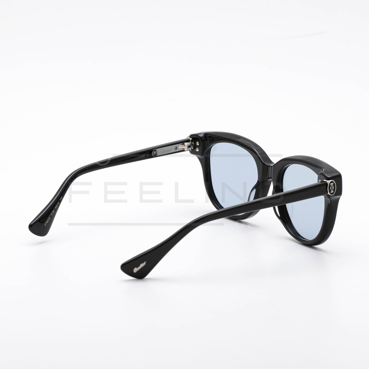 CARTIER CT0316 - Bleu Ciel & Noir