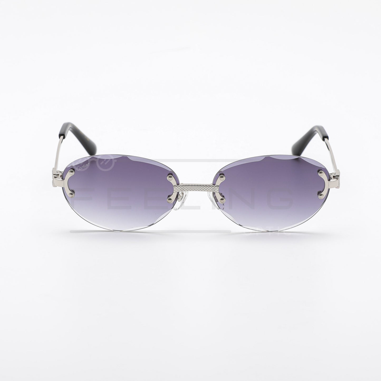 CARTIER CT0550S - Noir & Gris