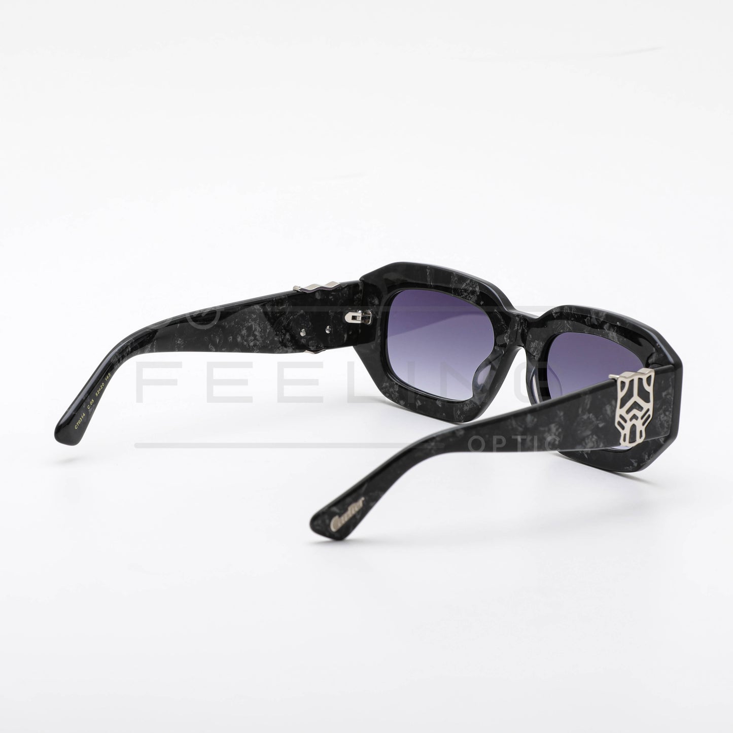 CARTIER CT0314 - Noir Dégradé