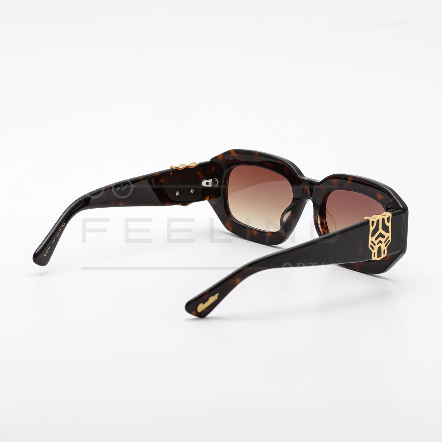 CARTIER CT0314 - Marron & Havane