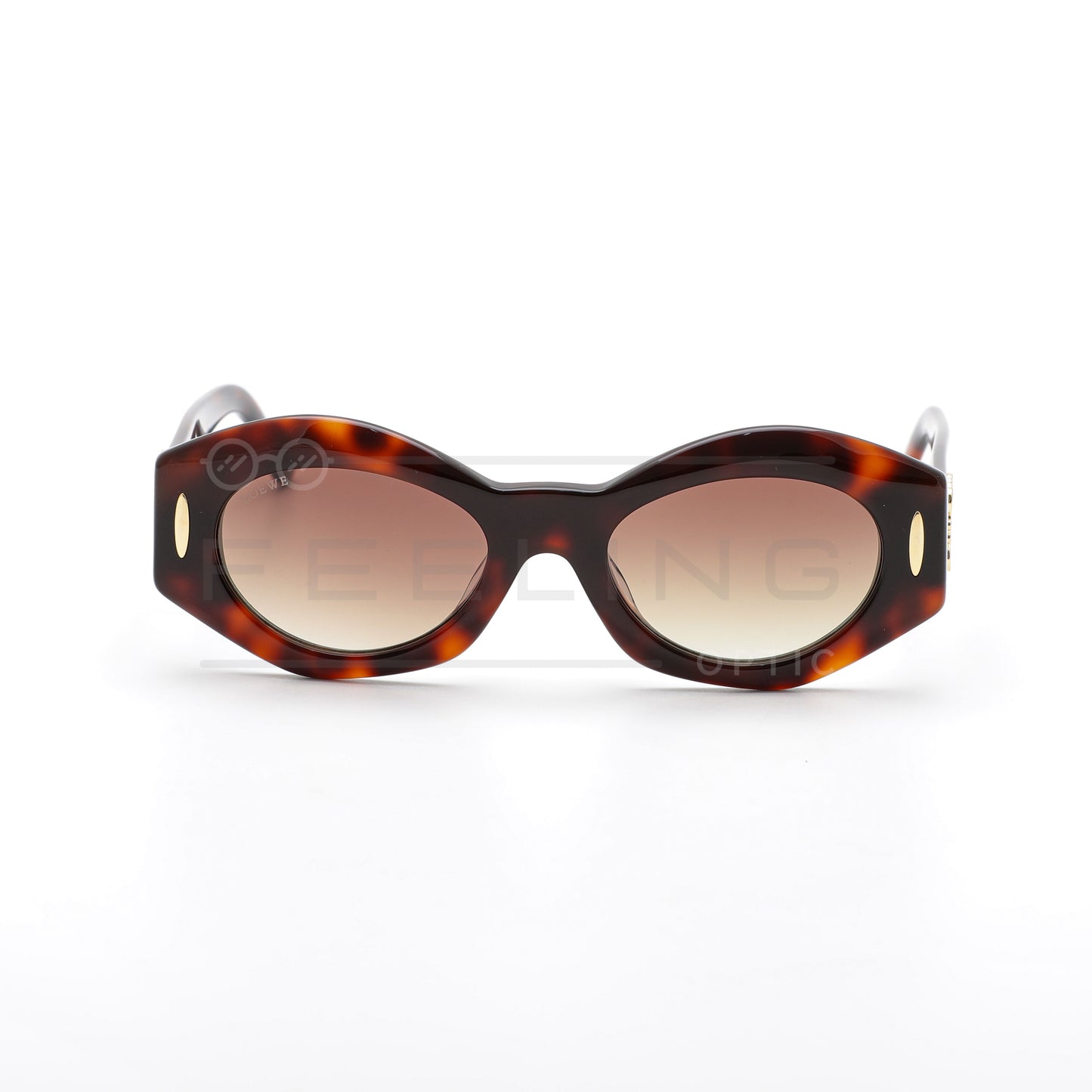 LOEWE LW5097S - Marron & Havane