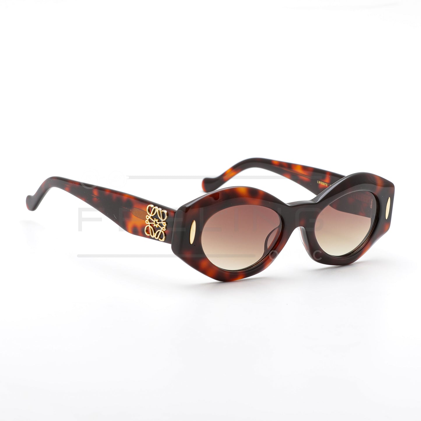 LOEWE LW5097S - Marron & Havane