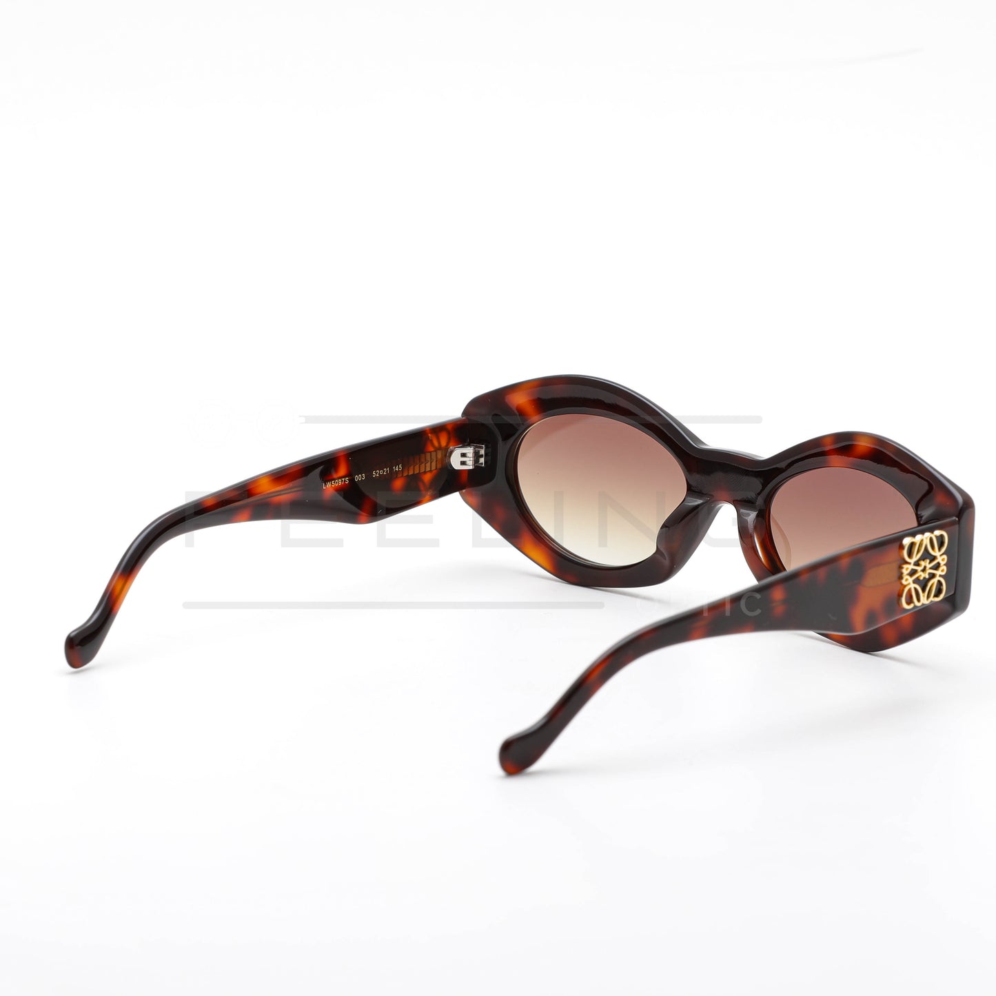 LOEWE LW5097S - Marron & Havane