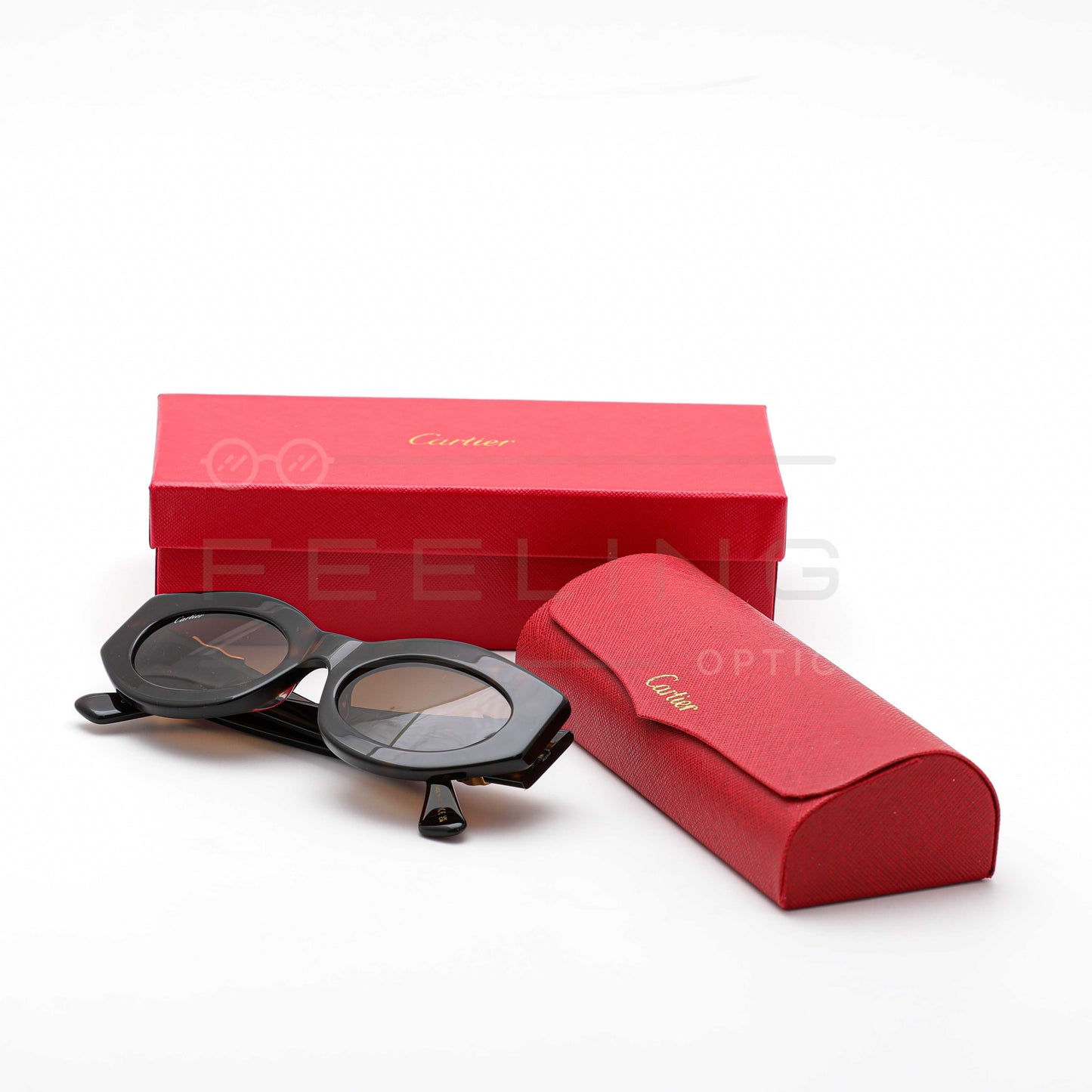 CARTIER CT0313 - Marron & Havane
