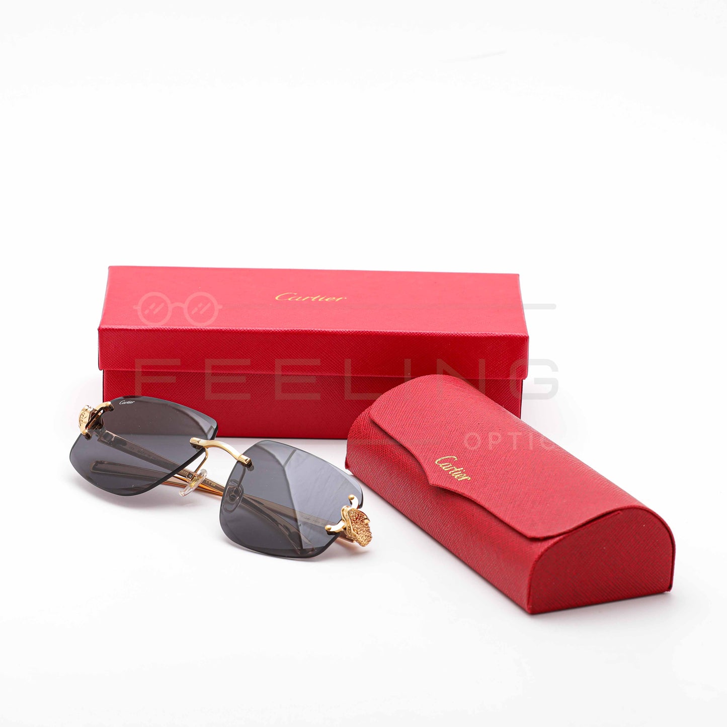 CARTIER CT0648S - Noir & Gold