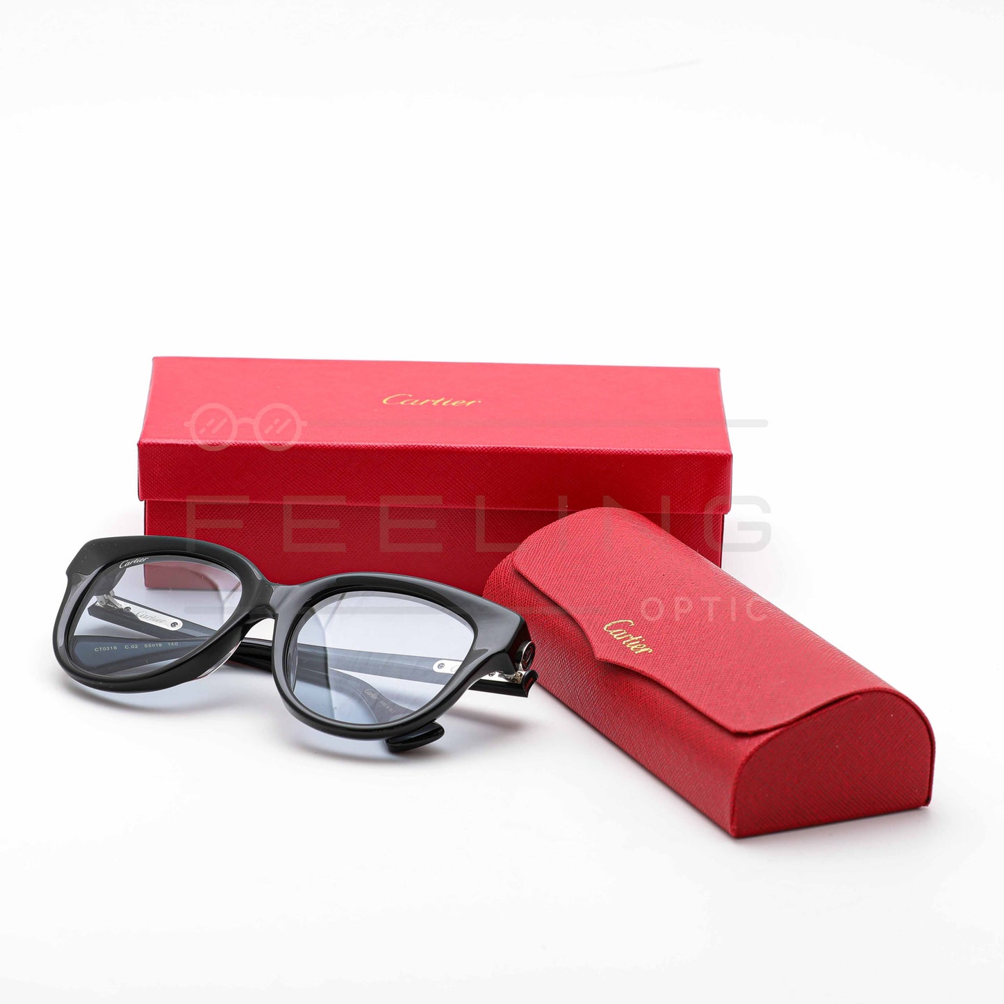 CARTIER CT0316 - Bleu Ciel & Noir