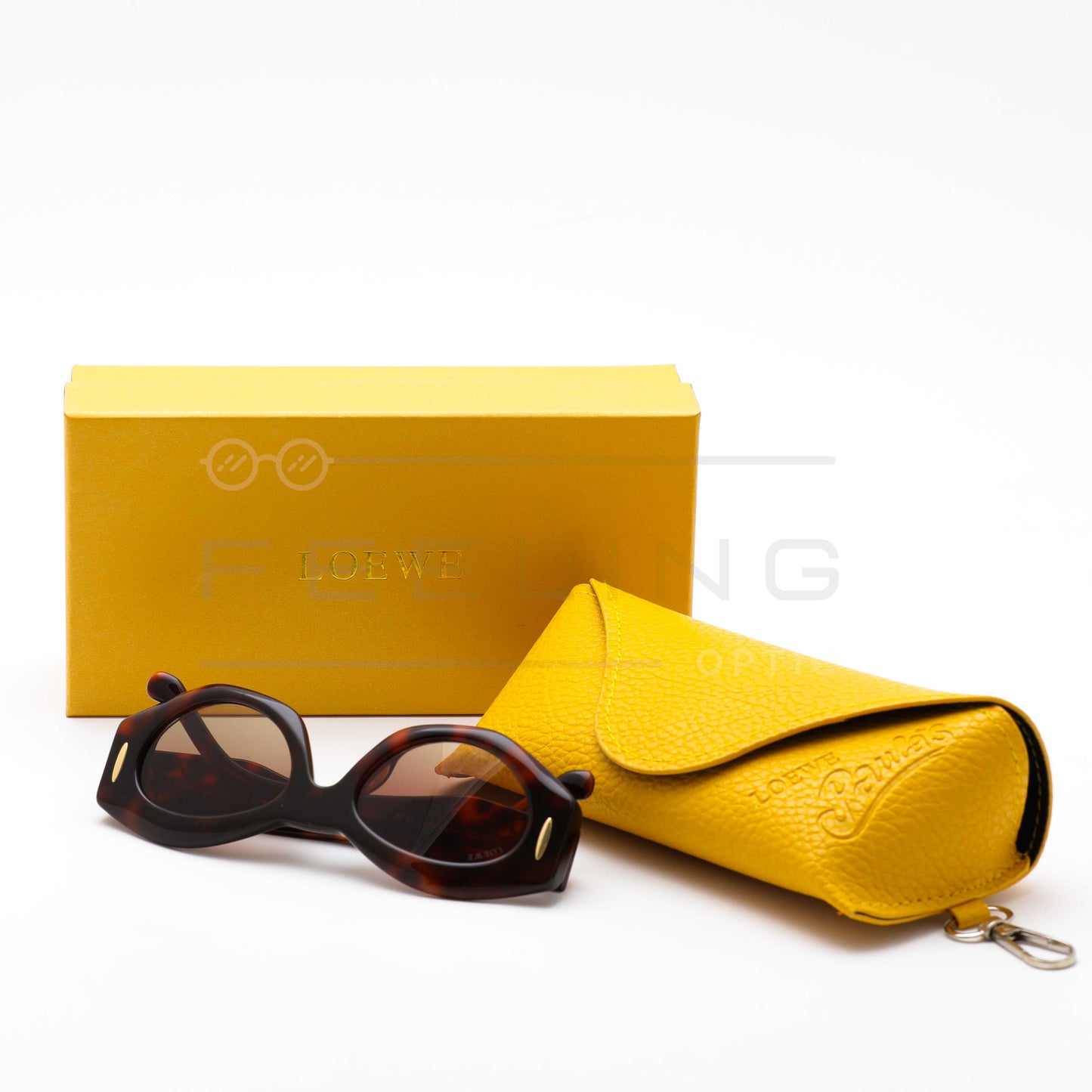 LOEWE LW5097S - Marron & Havane