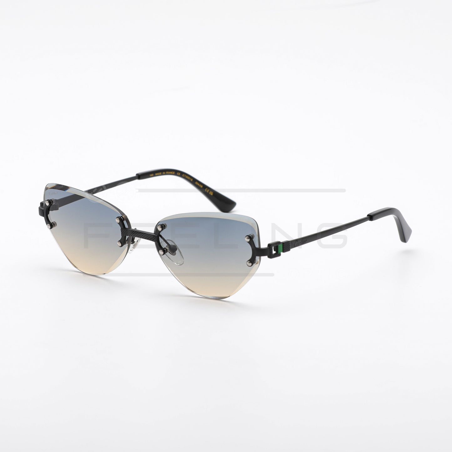CARTIER CT0551S - Dégradé