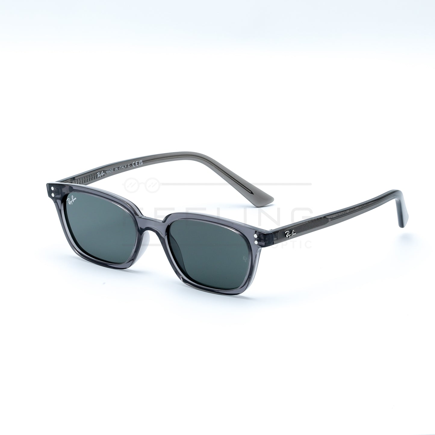 RAYBAN ZAYA RB-4456 - Noir & Crystal Gris