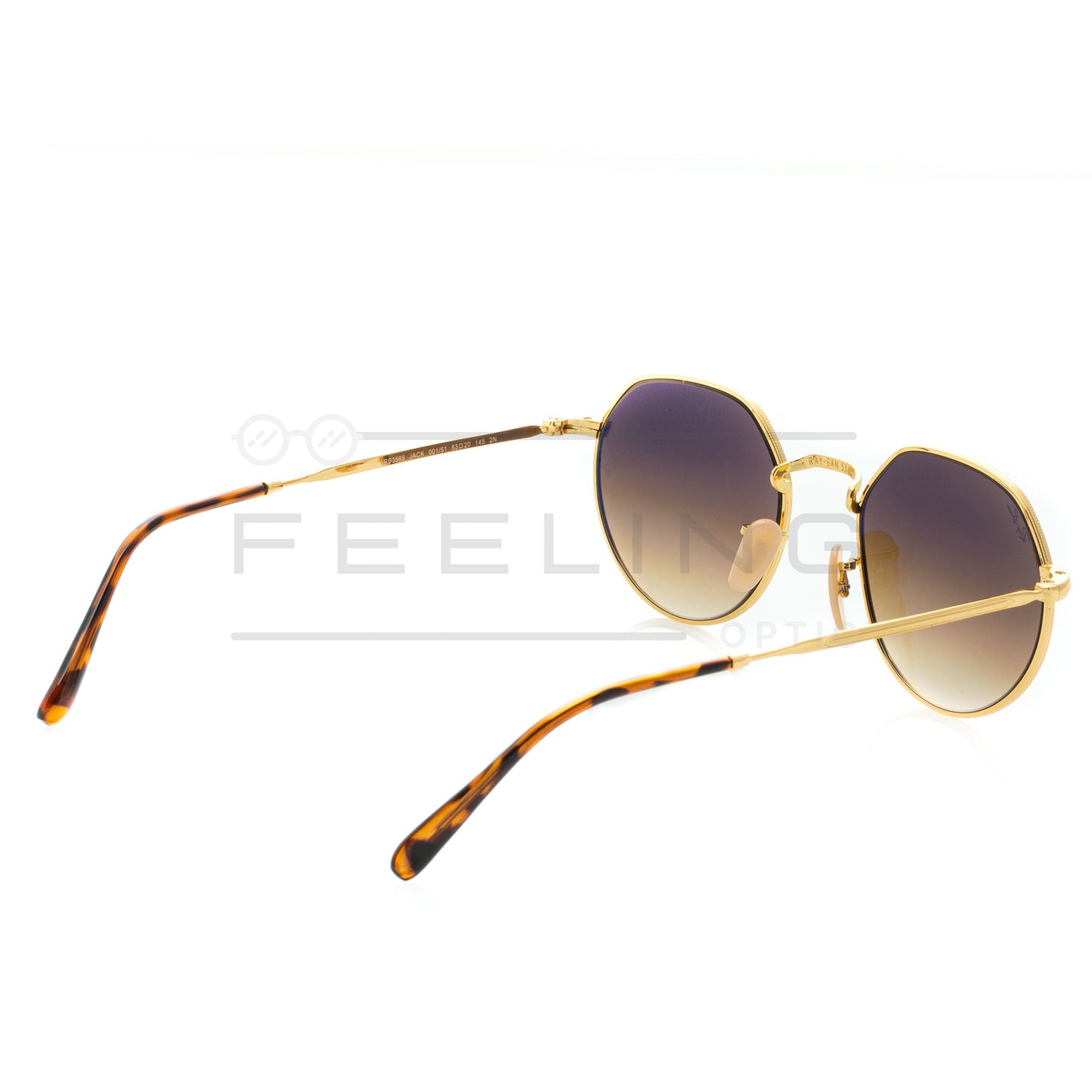 RAYBAN Jack RB-3565 - Marron & Gold