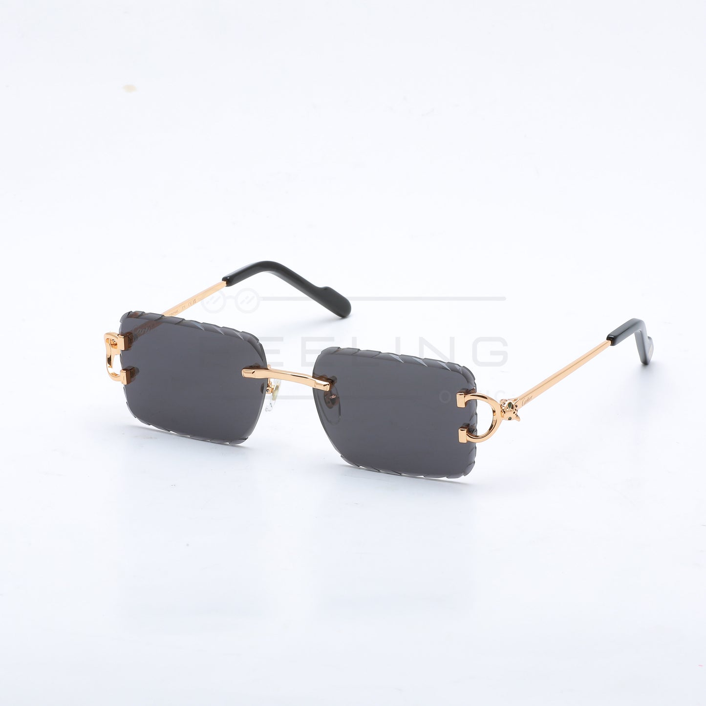 CARTIER CT0758S - Noir & Gold