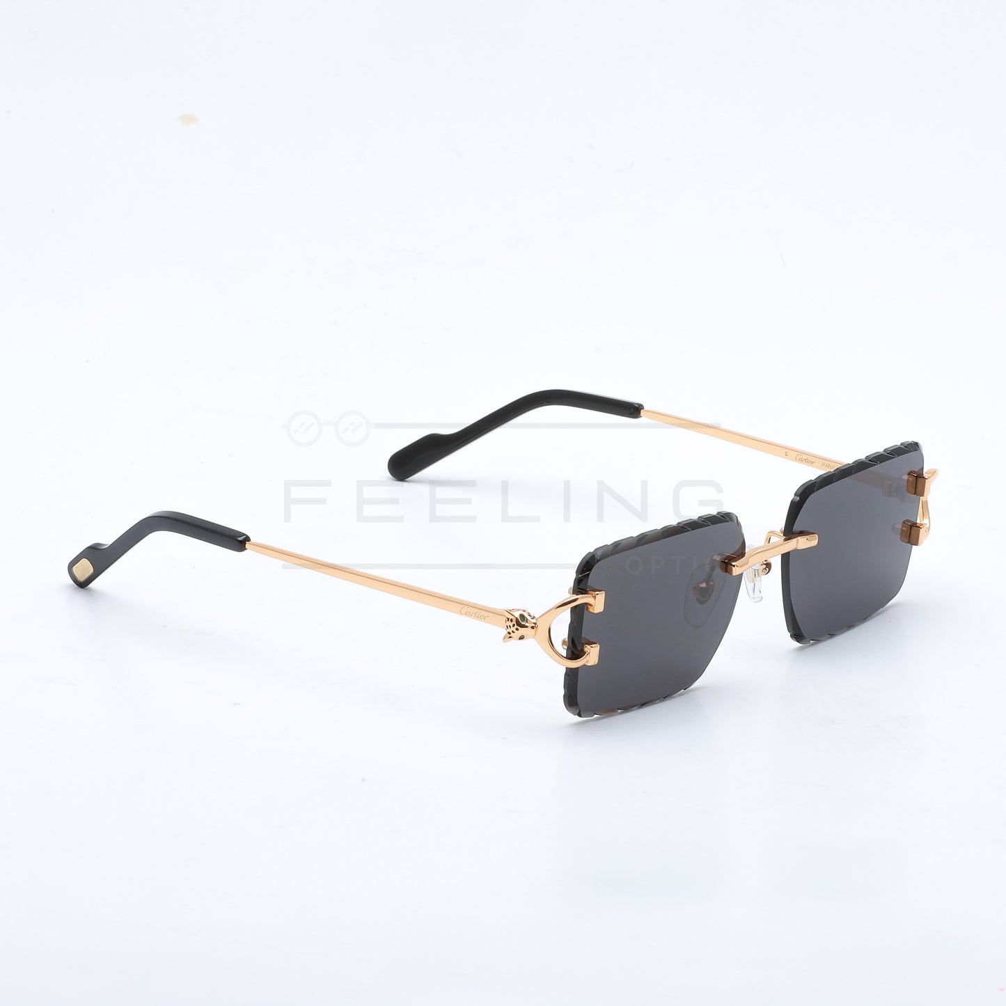 CARTIER CT0758S - Noir & Gold