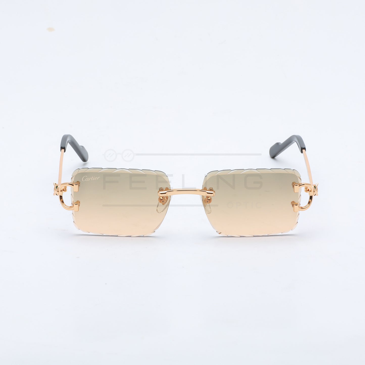 CARTIER CT0758S - Marron & Gold