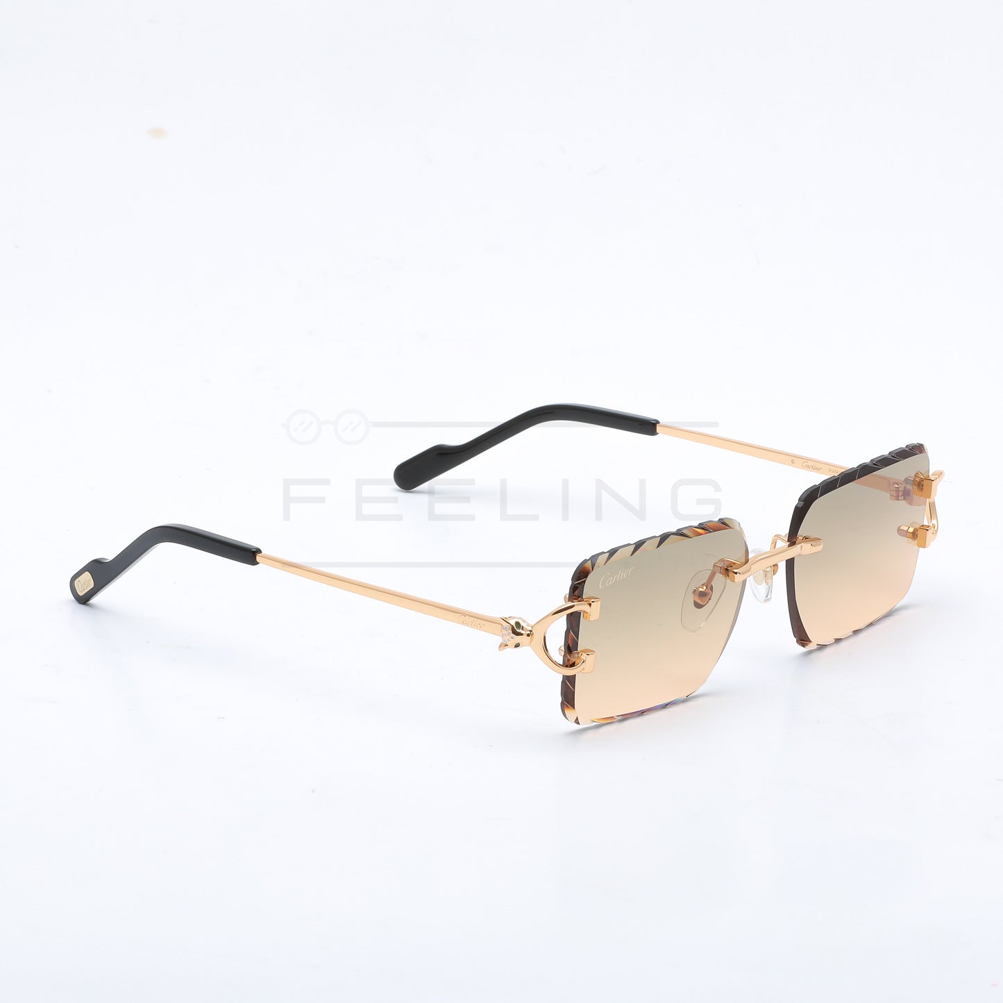 CARTIER CT0758S - Marron & Gold