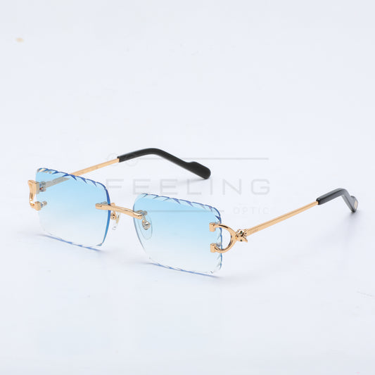 CARTIER CT0758S - Bleu & Gold