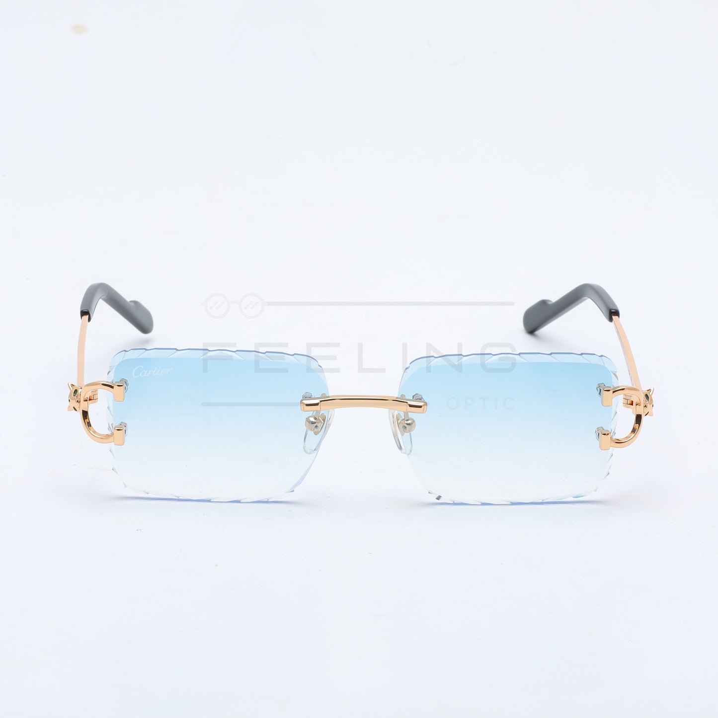 CARTIER CT0758S - Bleu & Gold