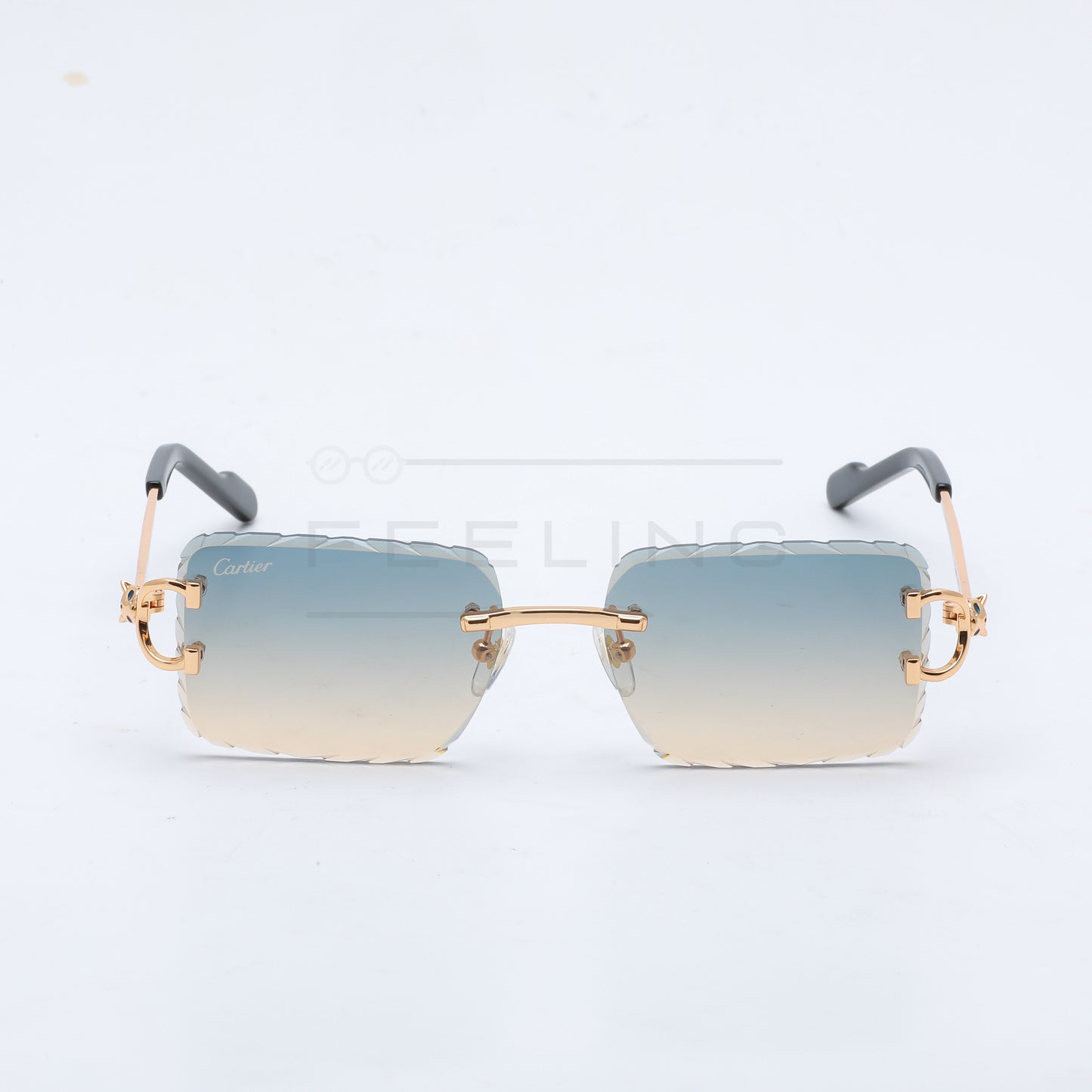 CARTIER CT0758S - Dégradé & Gold