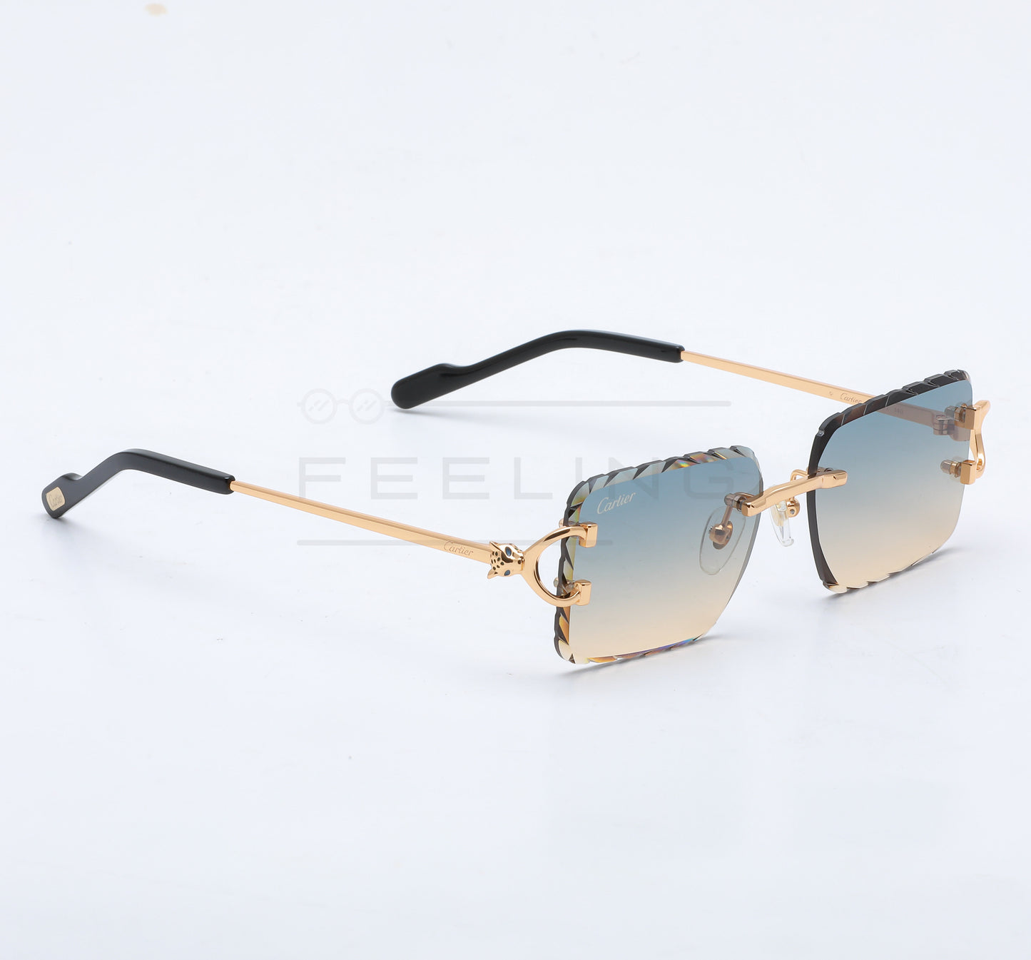CARTIER CT0758S - Dégradé & Gold