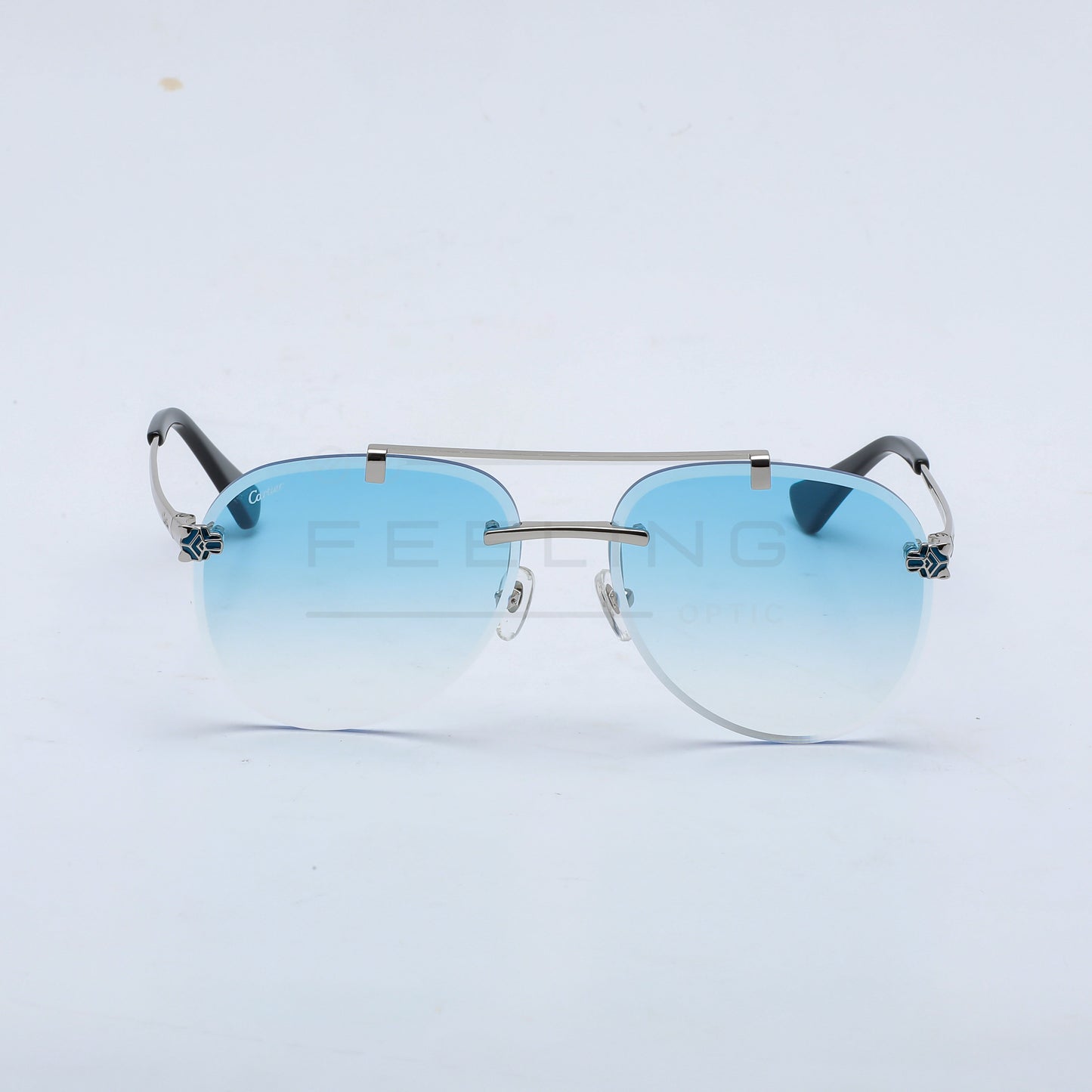 CARTIER CT01586O - Bleu Dégradé & Gris