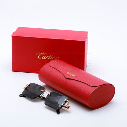 CARTIER CT0758S - Noir & Gold