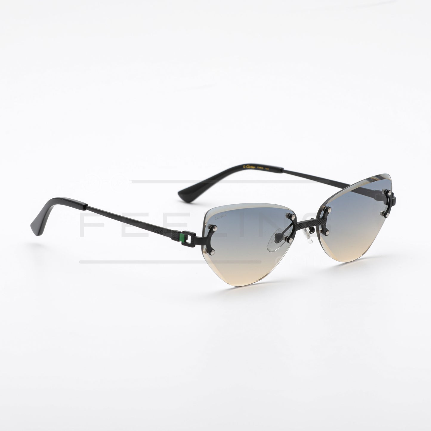 CARTIER CT0551S - Dégradé