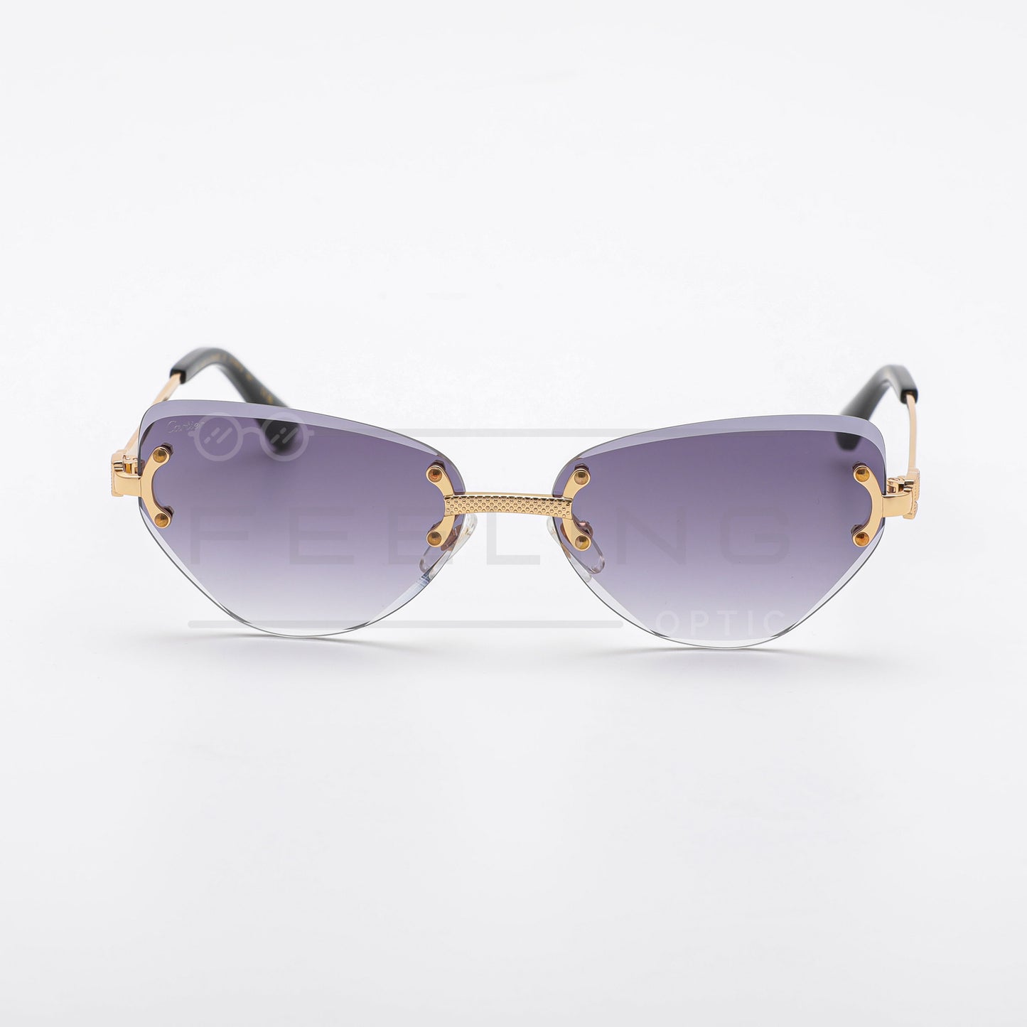 CARTIER CT0551S - Noir & Gold