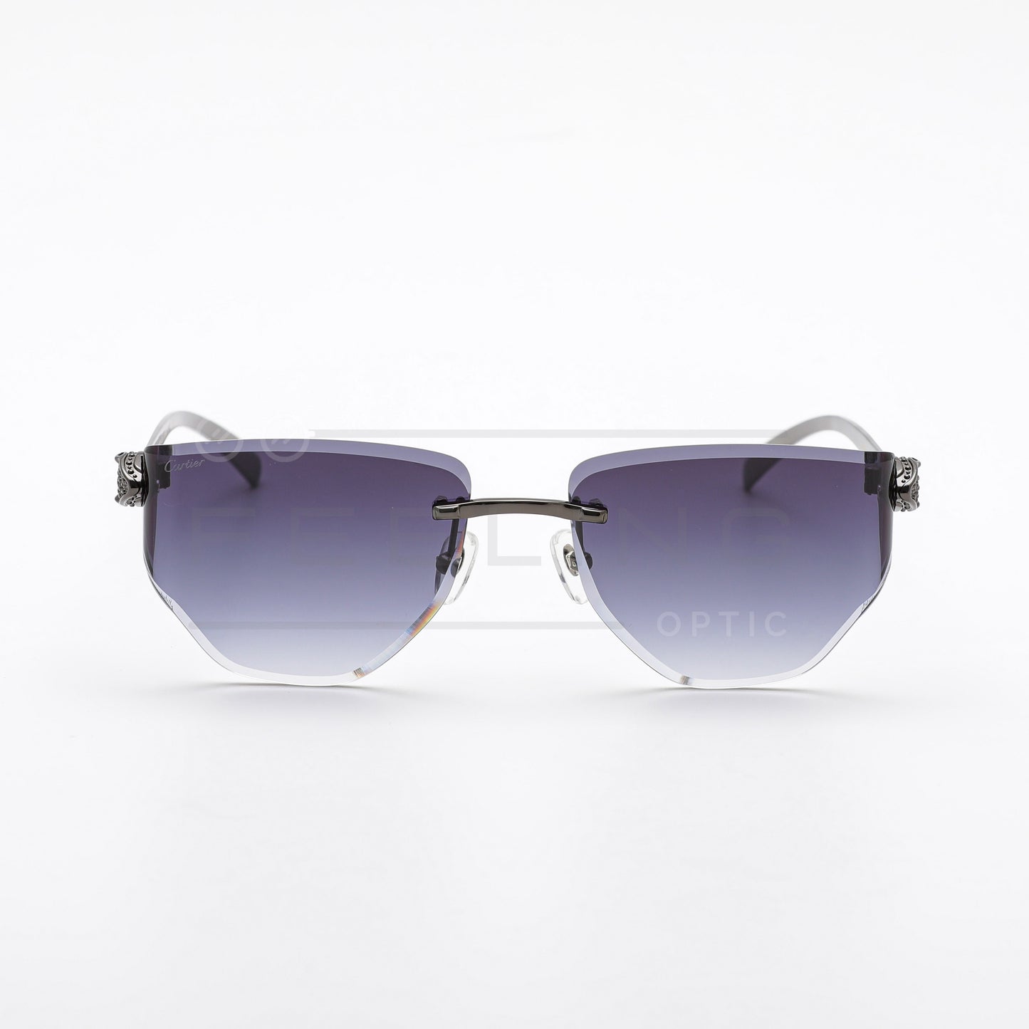 CARTIER CT0642S - Noir & Gris