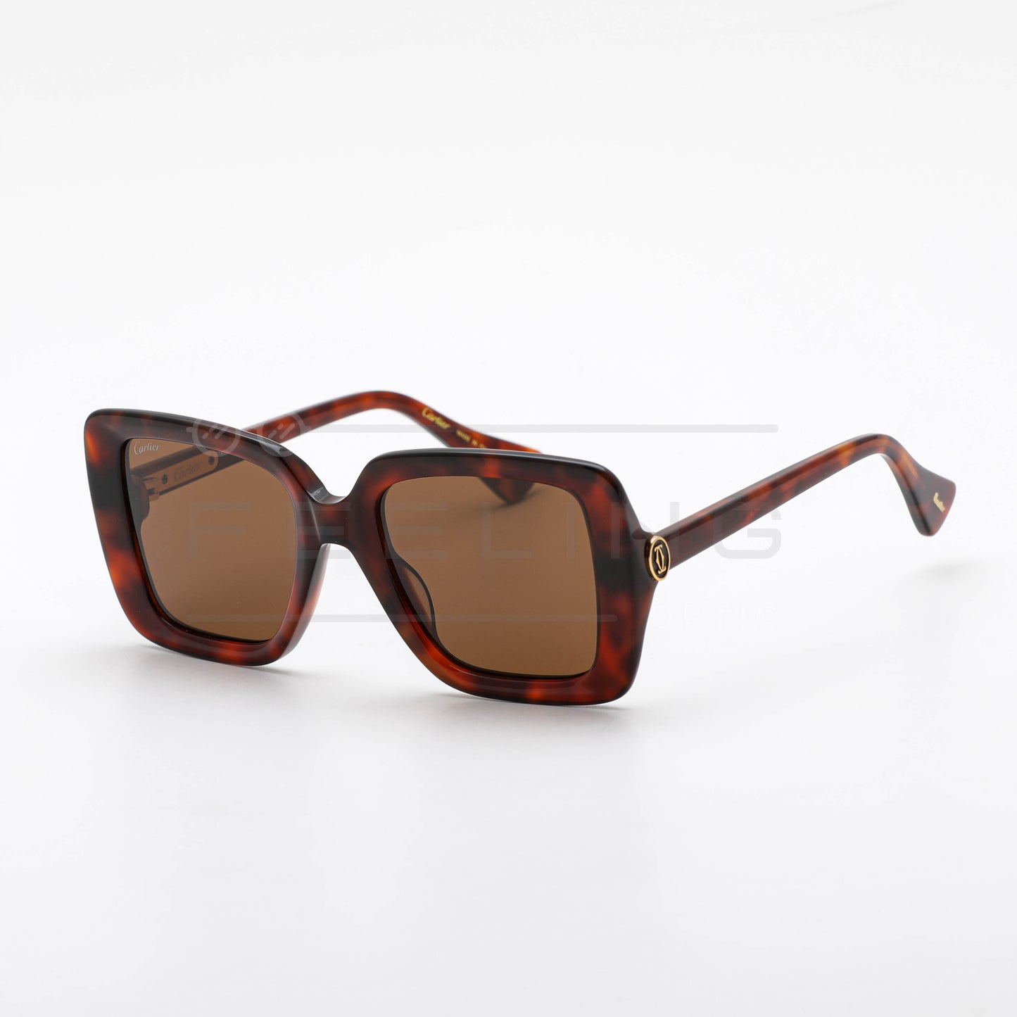 CARTIER CT0315 - Marron & Havane