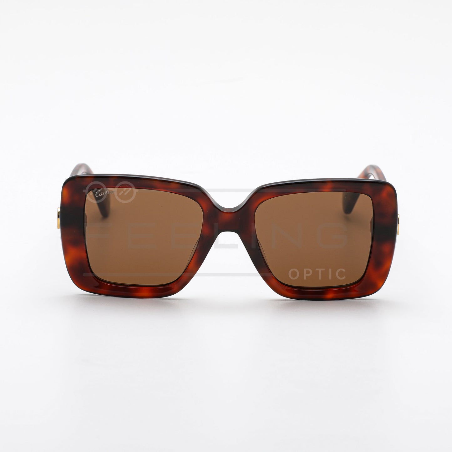 CARTIER CT0315 - Marron & Havane