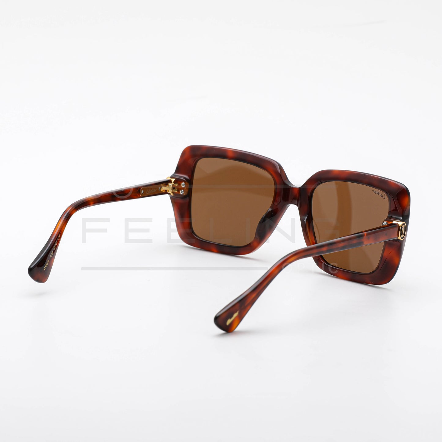 CARTIER CT0315 - Marron & Havane
