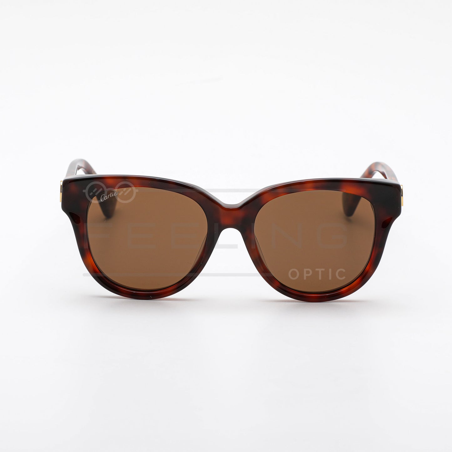 CARTIER CT0316 - Marron & Havane