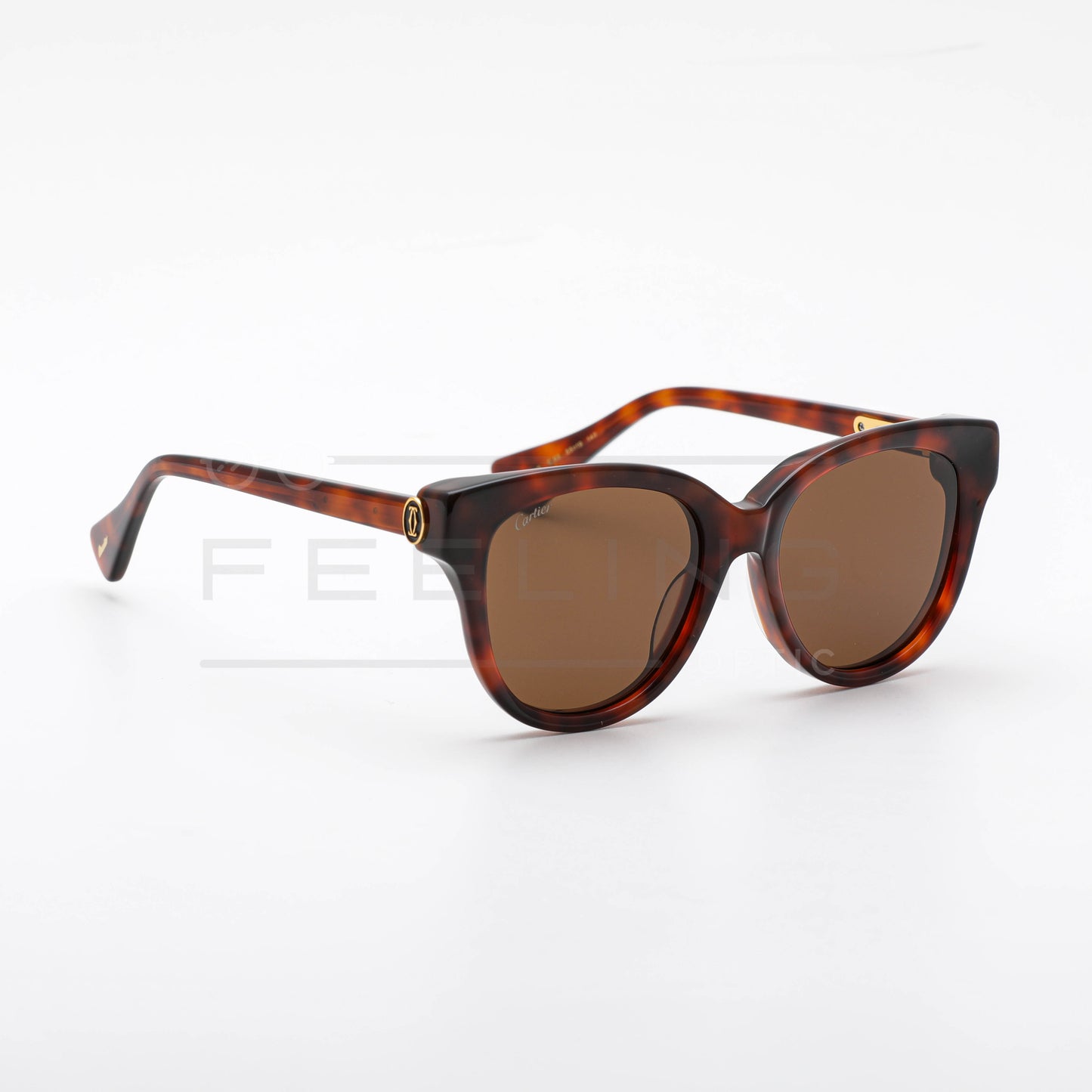 CARTIER CT0316 - Marron & Havane