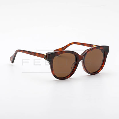 CARTIER CT0316 - Marron & Havane