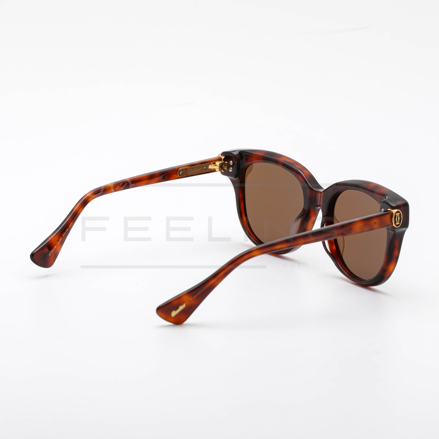 CARTIER CT0316 - Marron & Havane