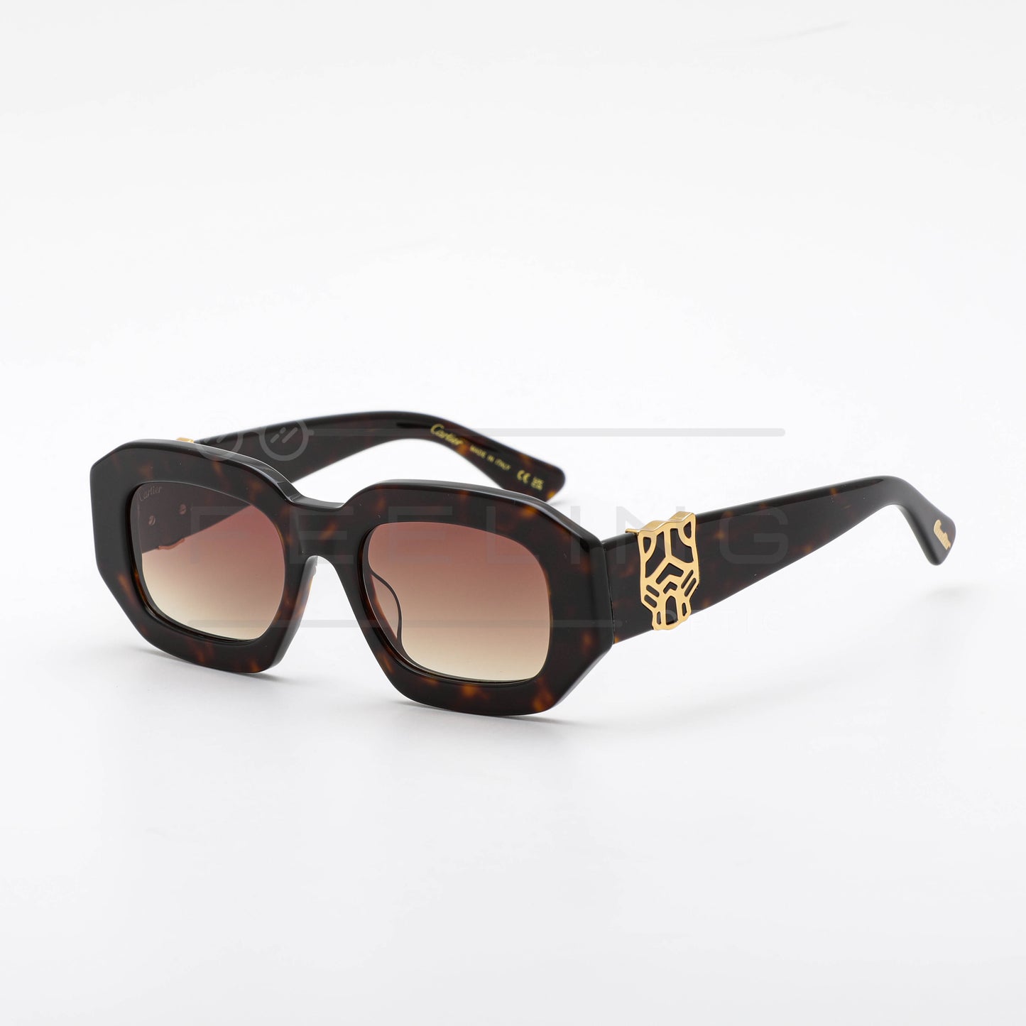 CARTIER CT0314 - Marron & Havane