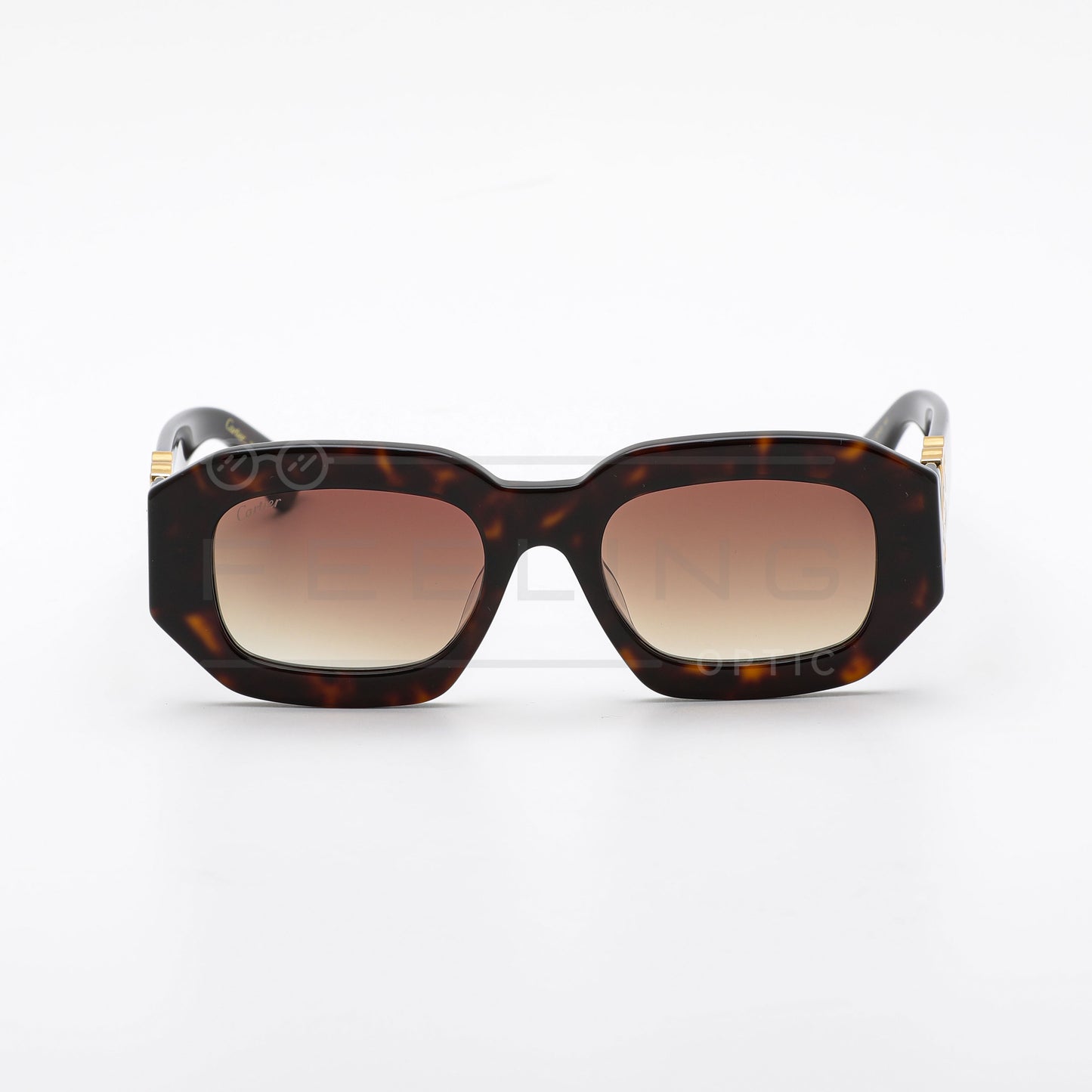 CARTIER CT0314 - Marron & Havane
