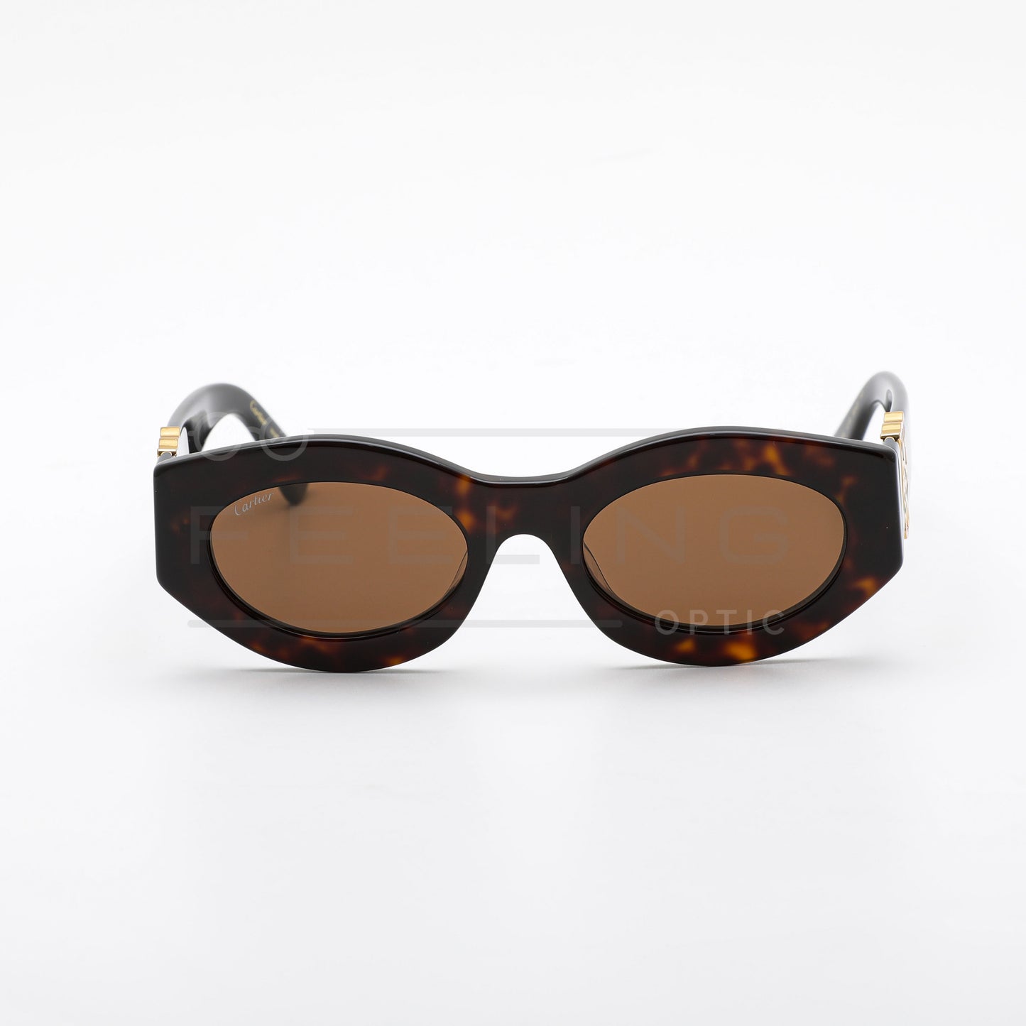 CARTIER CT0313 - Marron & Havane