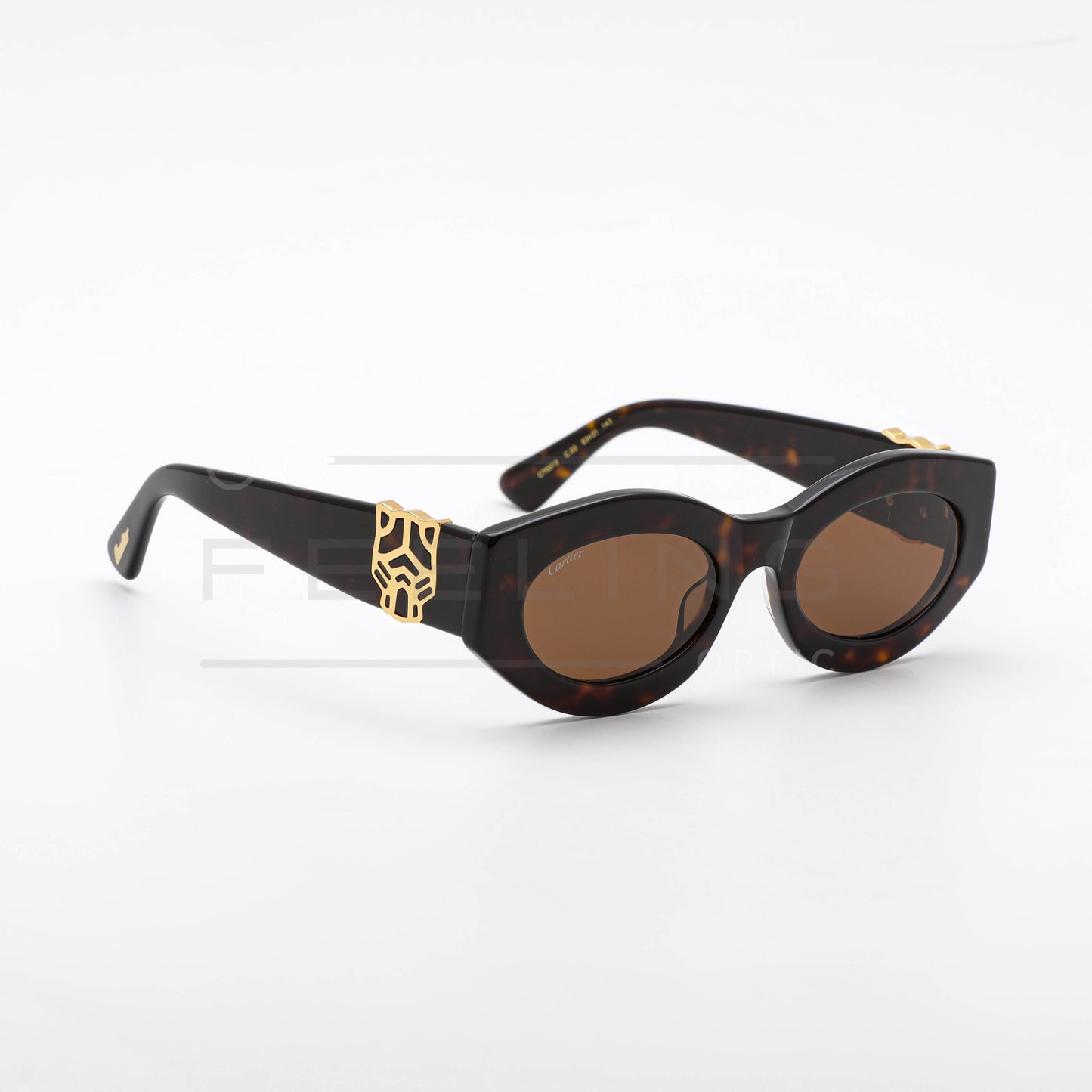 CARTIER CT0313 - Marron & Havane