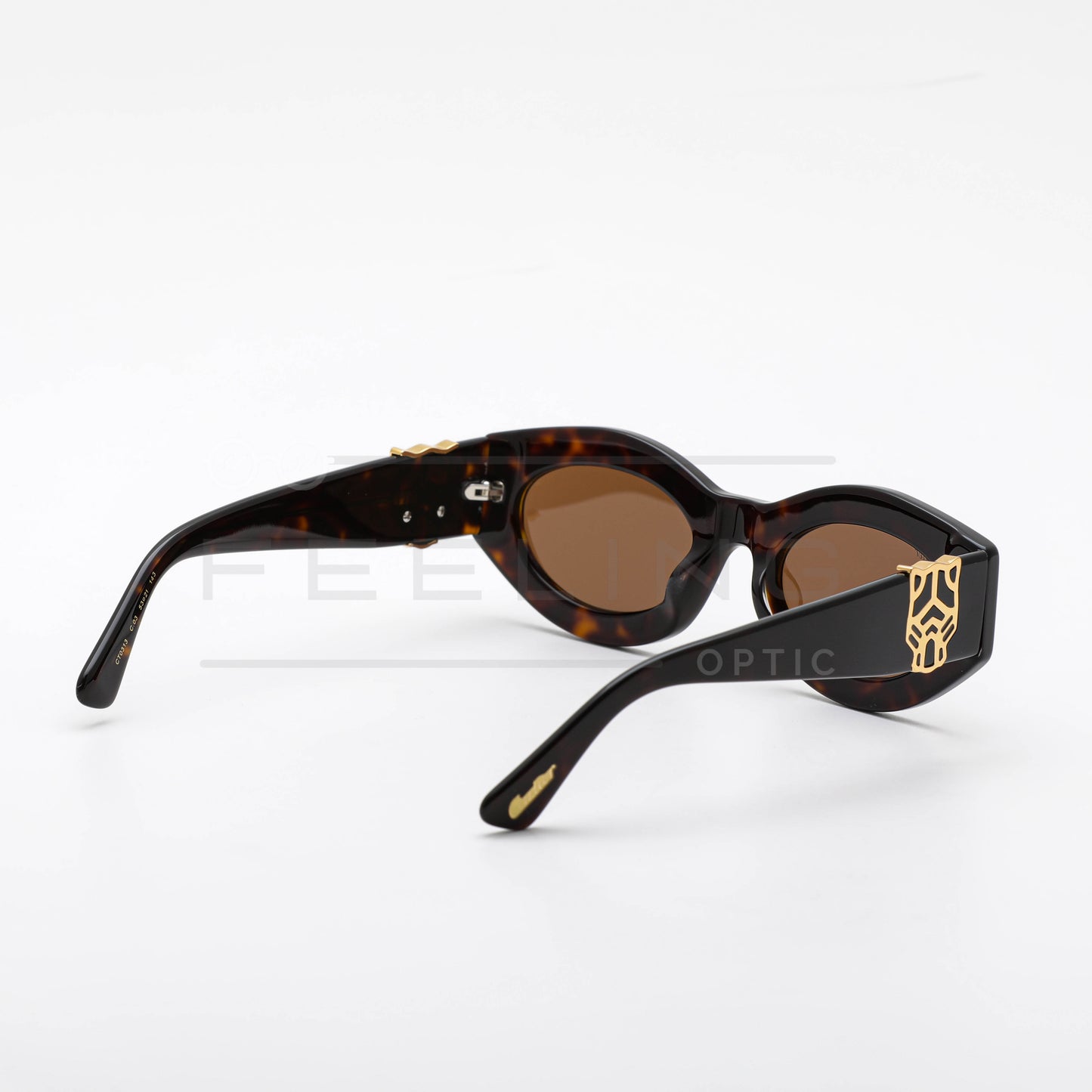 CARTIER CT0313 - Marron & Havane
