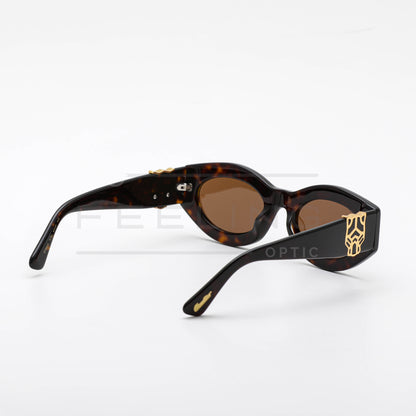 CARTIER CT0313 - Marron & Havane