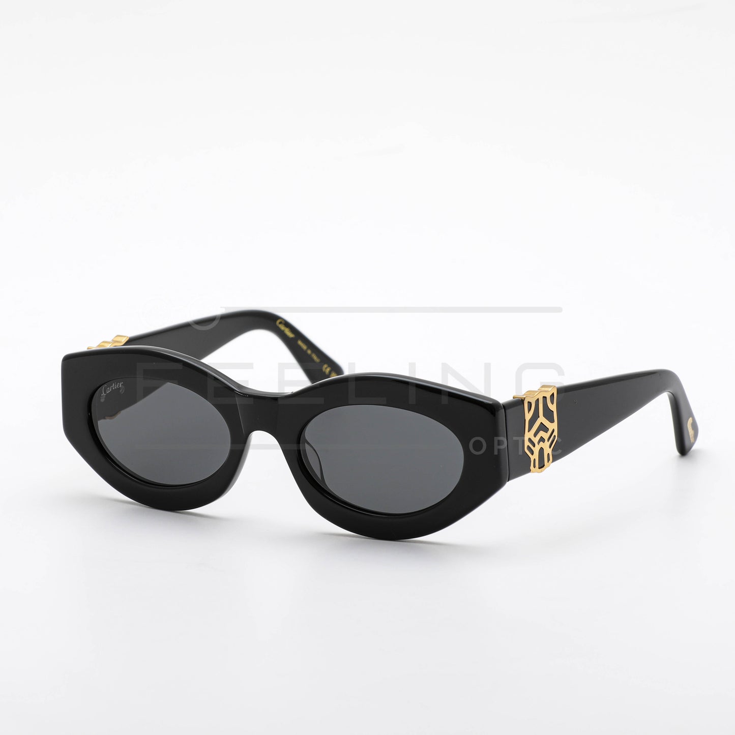 CARTIER CT0313 - Full Black