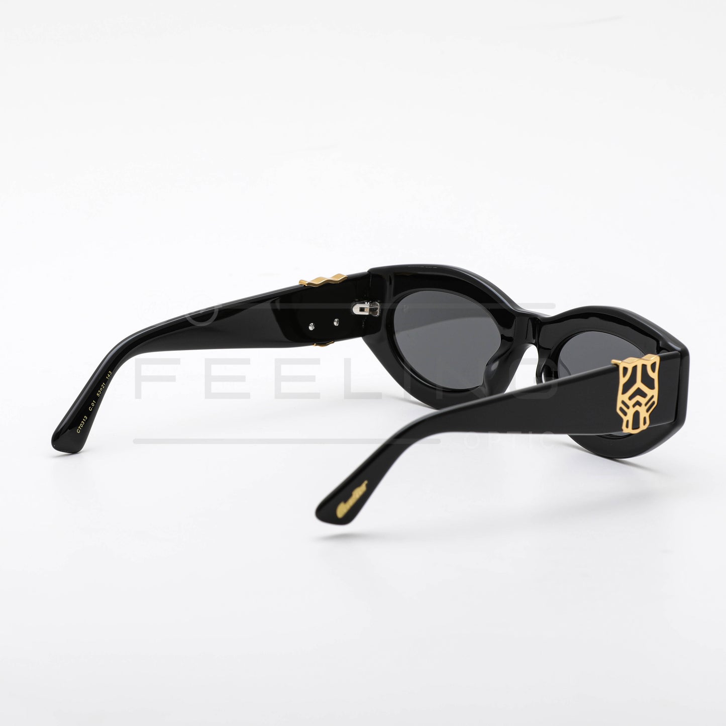 CARTIER CT0313 - Full Black