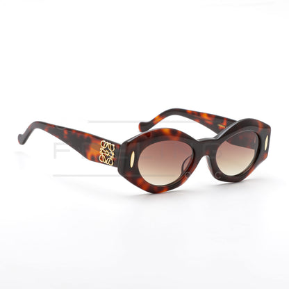 LOEWE LW5097S - Marron & Havane