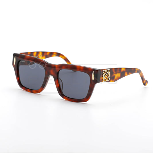 LOEWE LW5098S - Noir & Havane