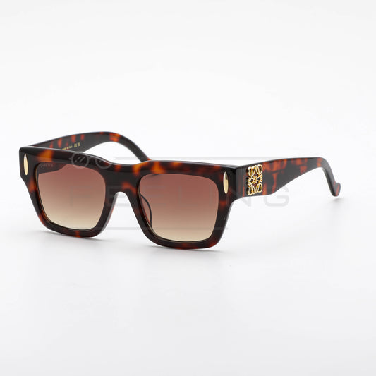 LOEWE LW5098S - Marron & Havane