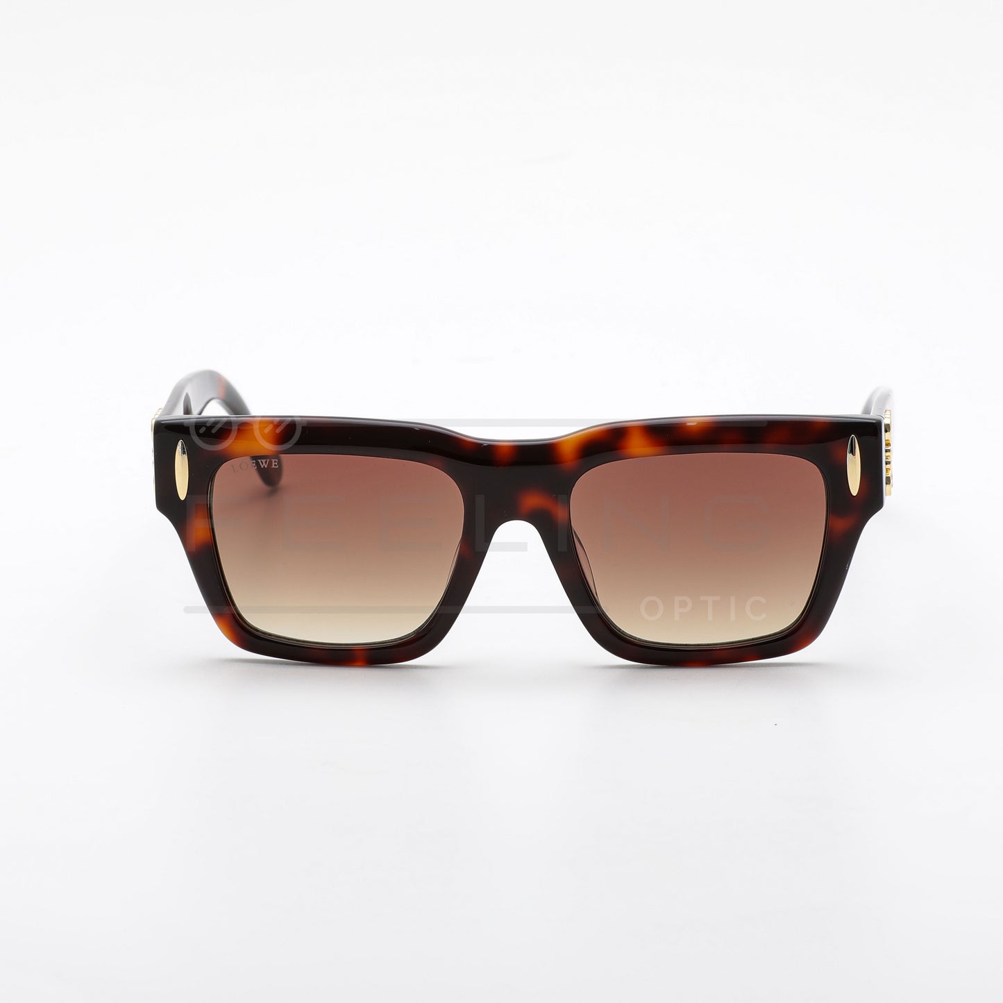 LOEWE LW5098S - Marron & Havane