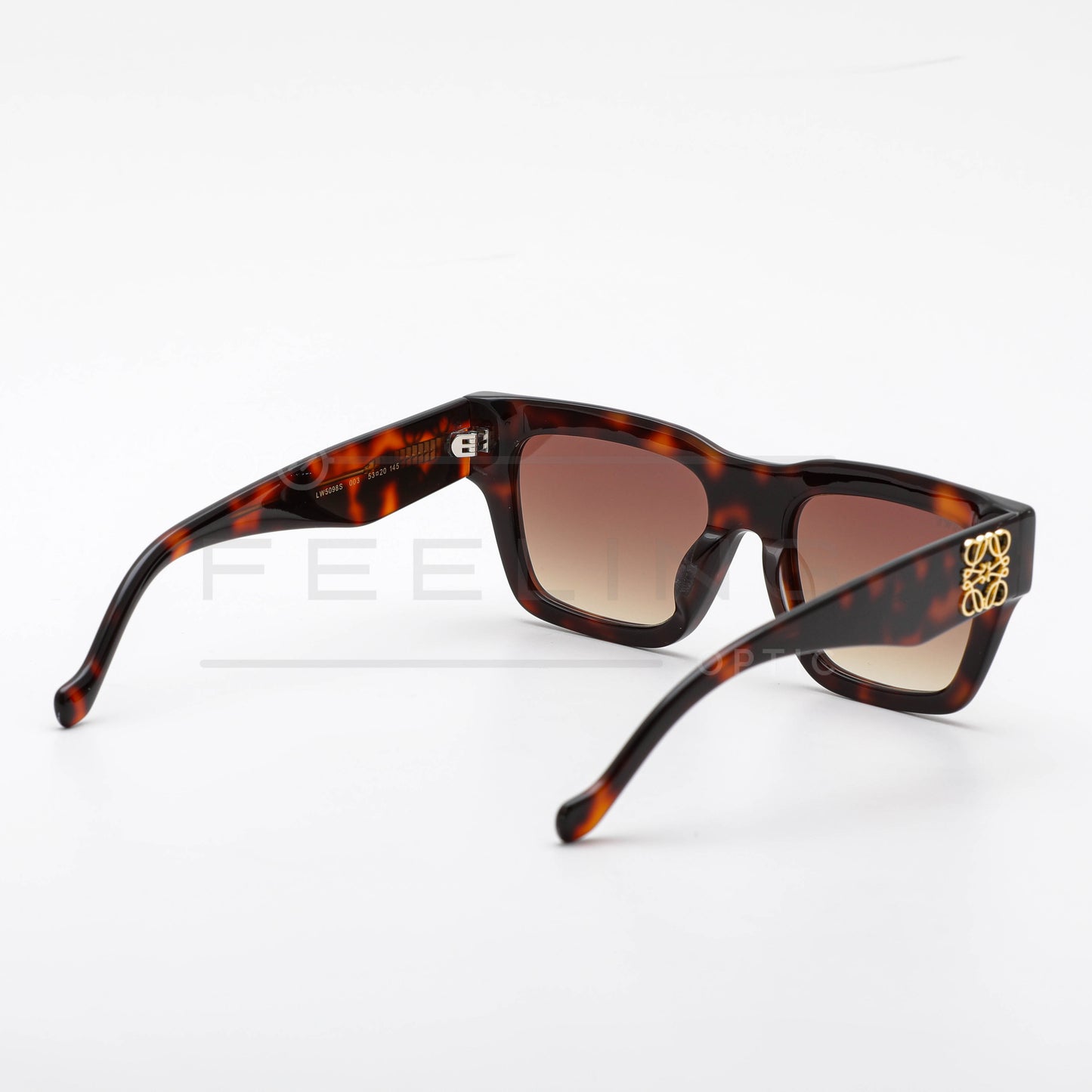 LOEWE LW5098S - Marron & Havane