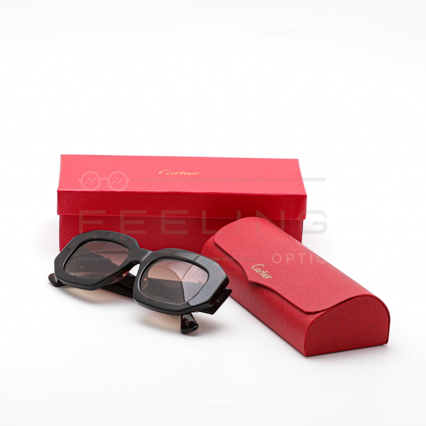 CARTIER CT0314 - Marron & Havane