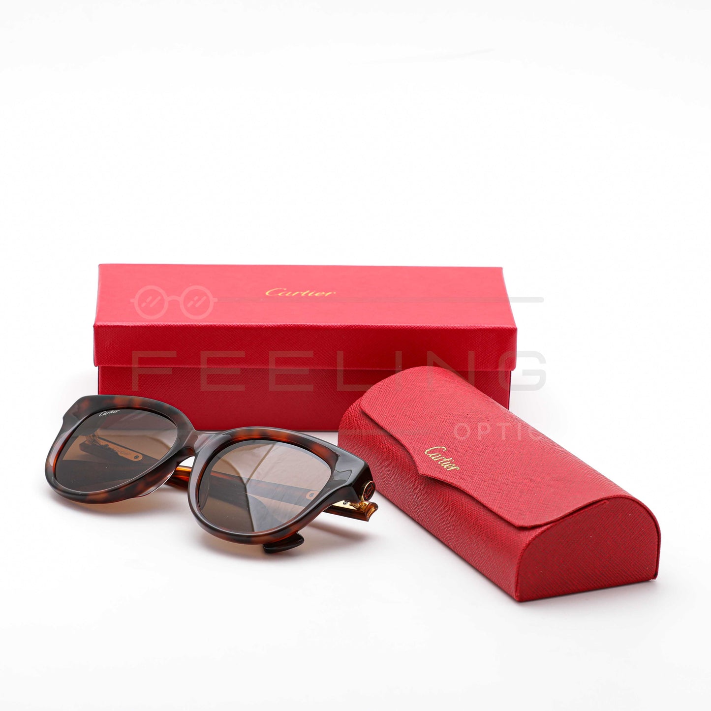 CARTIER CT0316 - Marron & Havane