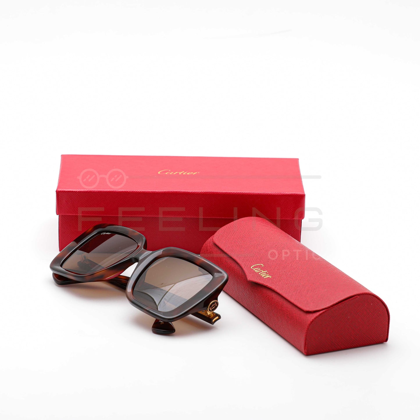CARTIER CT0315 - Marron & Havane